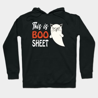 This is boo sheet 2020 funny halloween cat ghost Hoodie